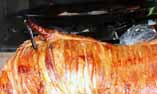 pork, pig roast